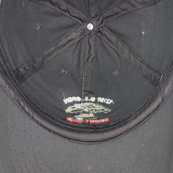 Torrey Pines US Open Golf Tournament USGA Member Golf Cap Slouch Dad‎ Hat Gray - Picture 6 of 7